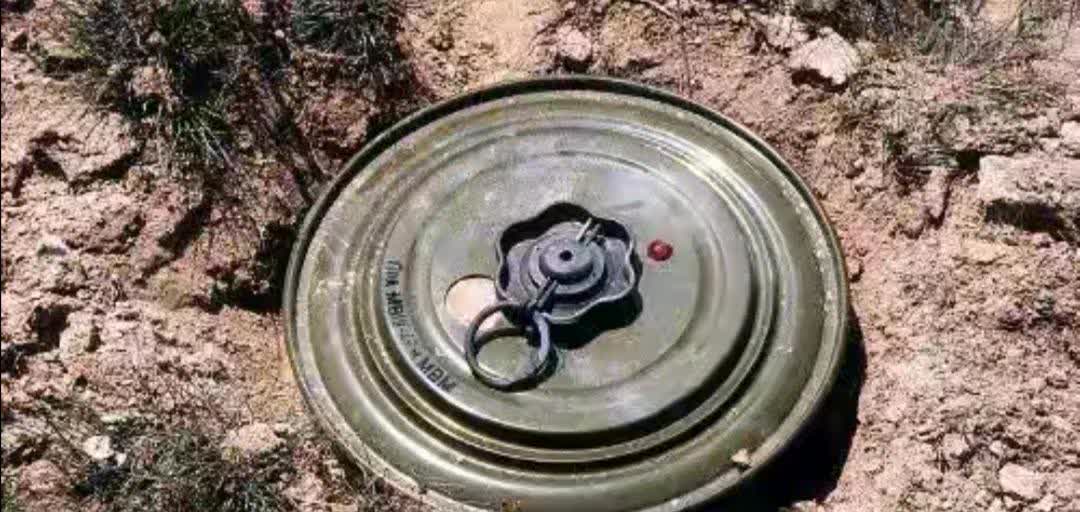 你可以指责俄罗斯的欧洲邻国跪了，纷纷投身北约充当附庸，但决不要怀疑它们对俄罗斯的