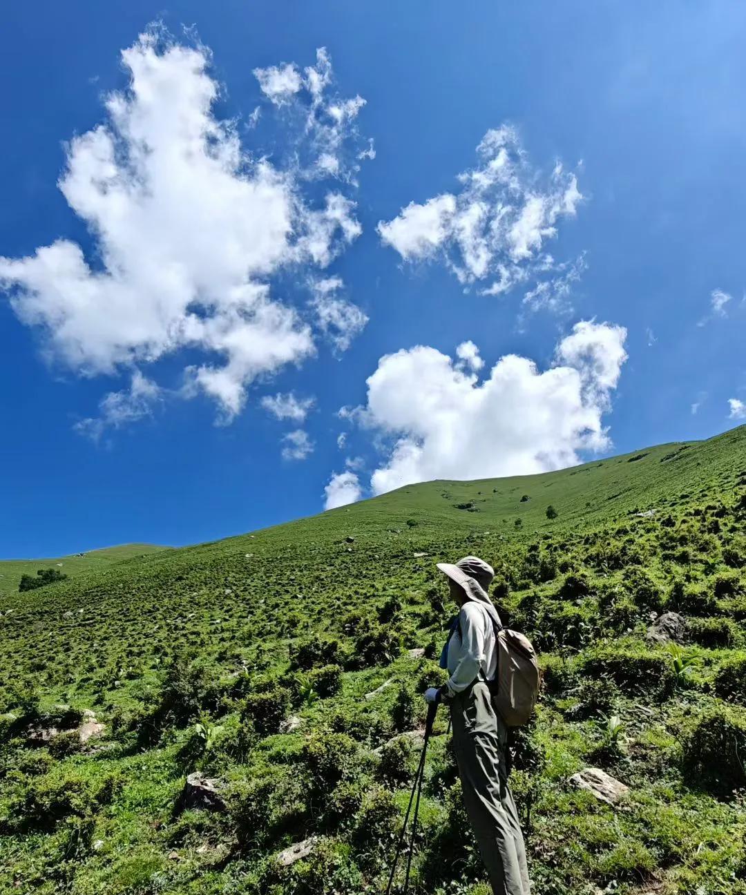 山顶很远，上山的每一步都是艰难的挪动，到达山顶就可以看到小五台所有的美，下山的考