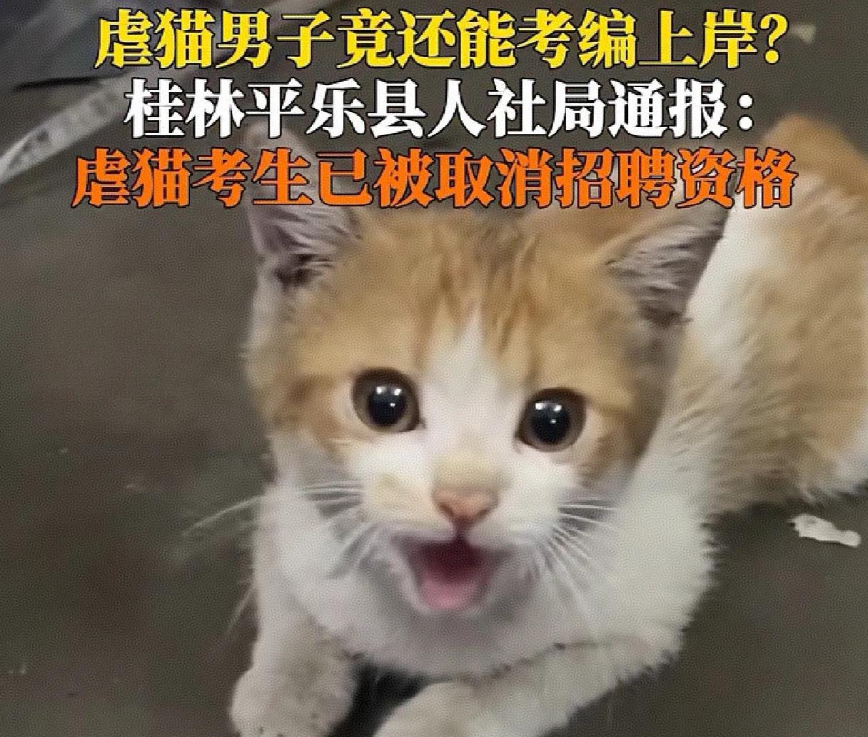 前程堪忧啊！虐猫考生被取消招聘资格！7月1日，桂林平乐县人力资源和社会保障局回应