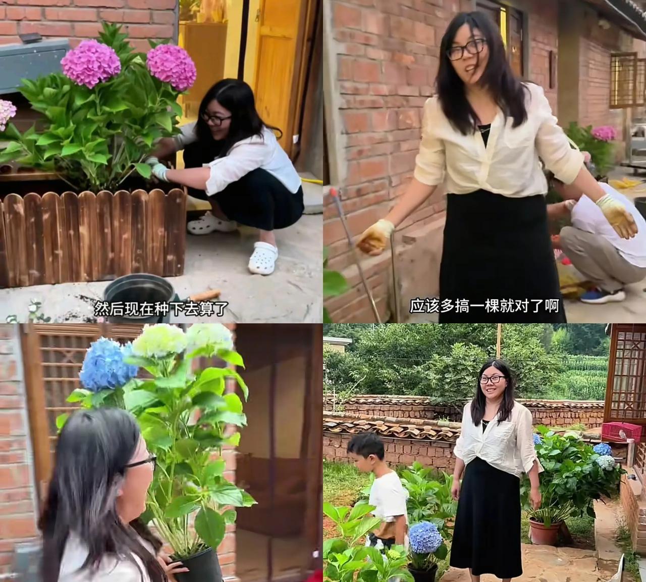 徐红偷拿小凤家的绣球花！徐红和韦赖一样都是搞笑担当，看小凤家绣球花买的多，直接拿