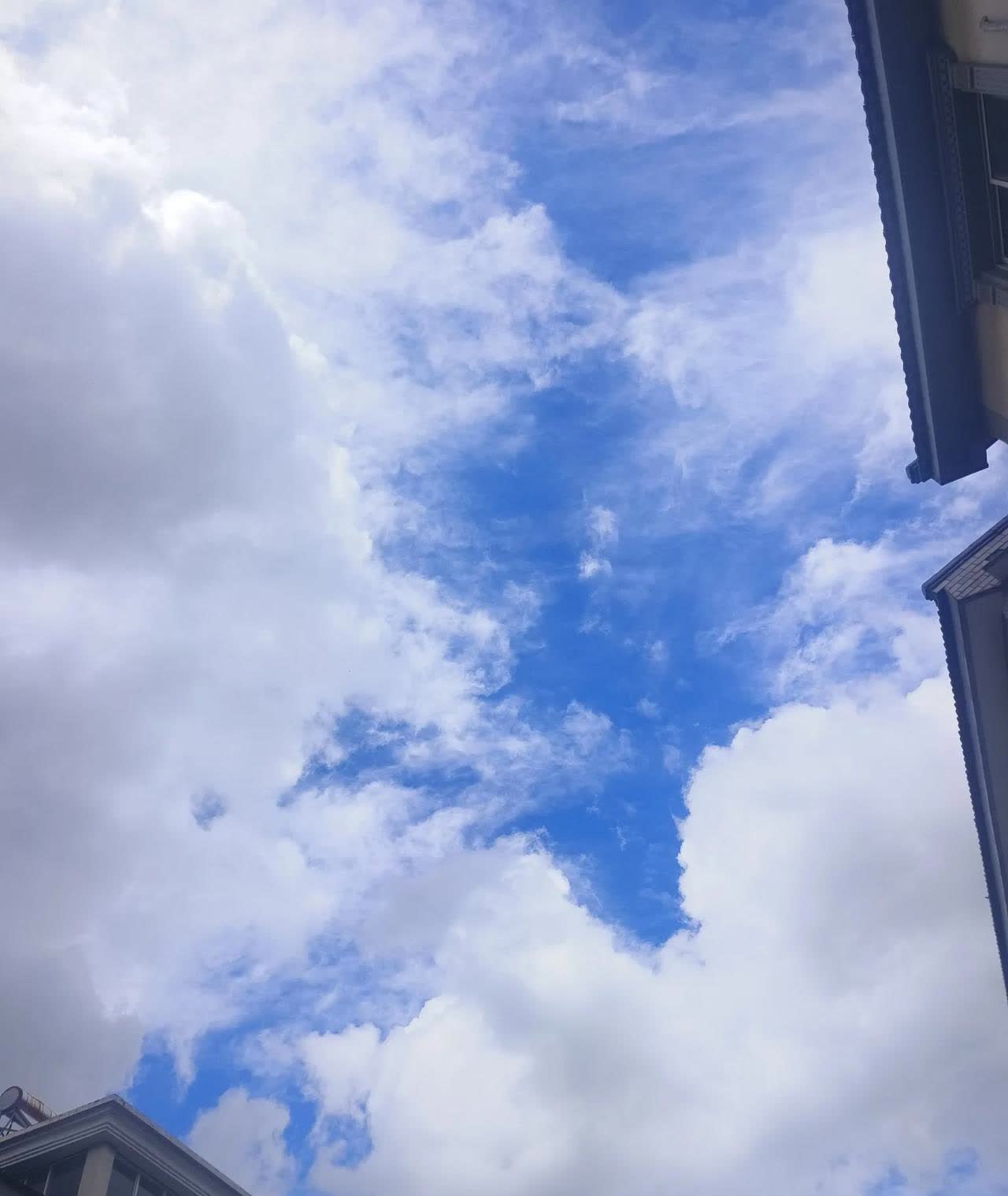 台风暴雨又要来了
我看新闻说已经在浙江了
马上要到江苏了
这边已经暴雨一个