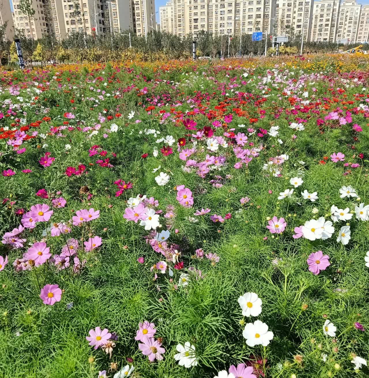 天津女排，都以为是陈博雅依赖姚迪，其实不是，那是以前的事了，现在的陈博雅己经今非