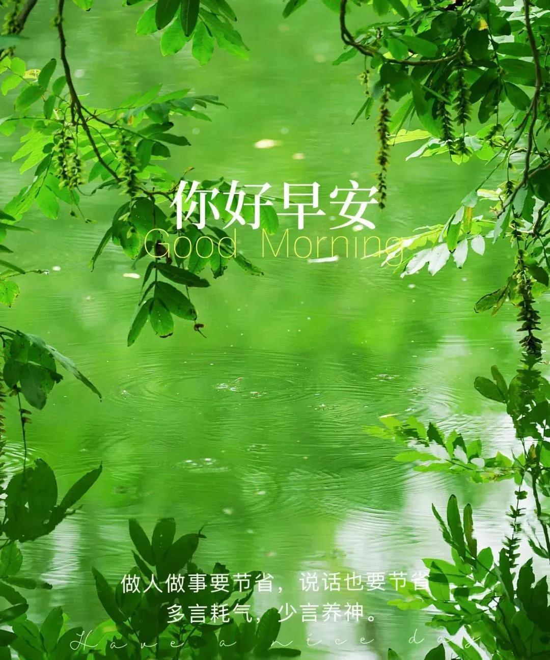 《圈友箴言》
圈小尘难染，交深意自澄。
浮云皆过眼，素志许寒藤。
沐日襟怀朗，听