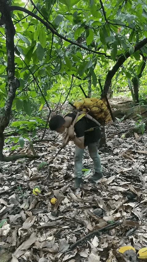 这是三D动画吗？