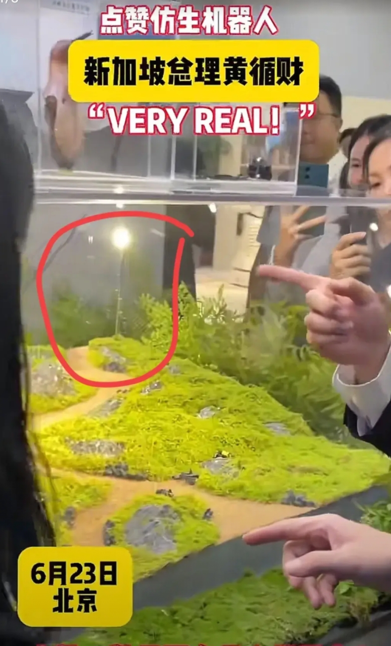 黄循财到访中国，在北京考察机器人产业！
展示的一款昆虫仿生机器人看着很厉害，大小