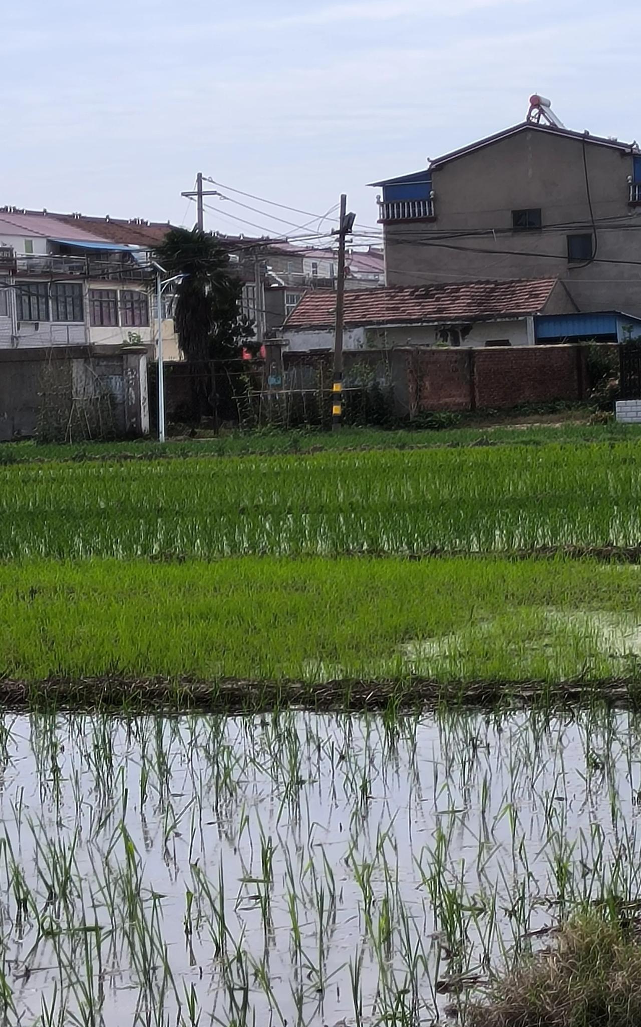 早晨5点多钟，老公就给我打来电话，他说以前(20年前)在我们村办理水厂的人要卖房