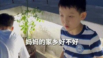 丹东母亲独自带娃，兄弟隔江望朝鲜，断桥下藏着什么秘密？