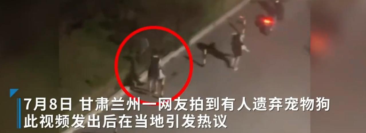 【#小狗遭主人2次扔弃哀嚎仍被丢#】#小狗折返哀求仍被主人甩远遗弃#7月8日凌晨