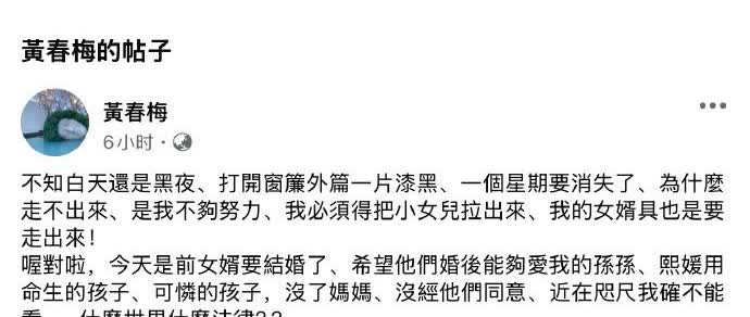 S妈回应盗走大S珠宝指控：没必要抬举一个loser，曝光大S雕像进度
大S离世