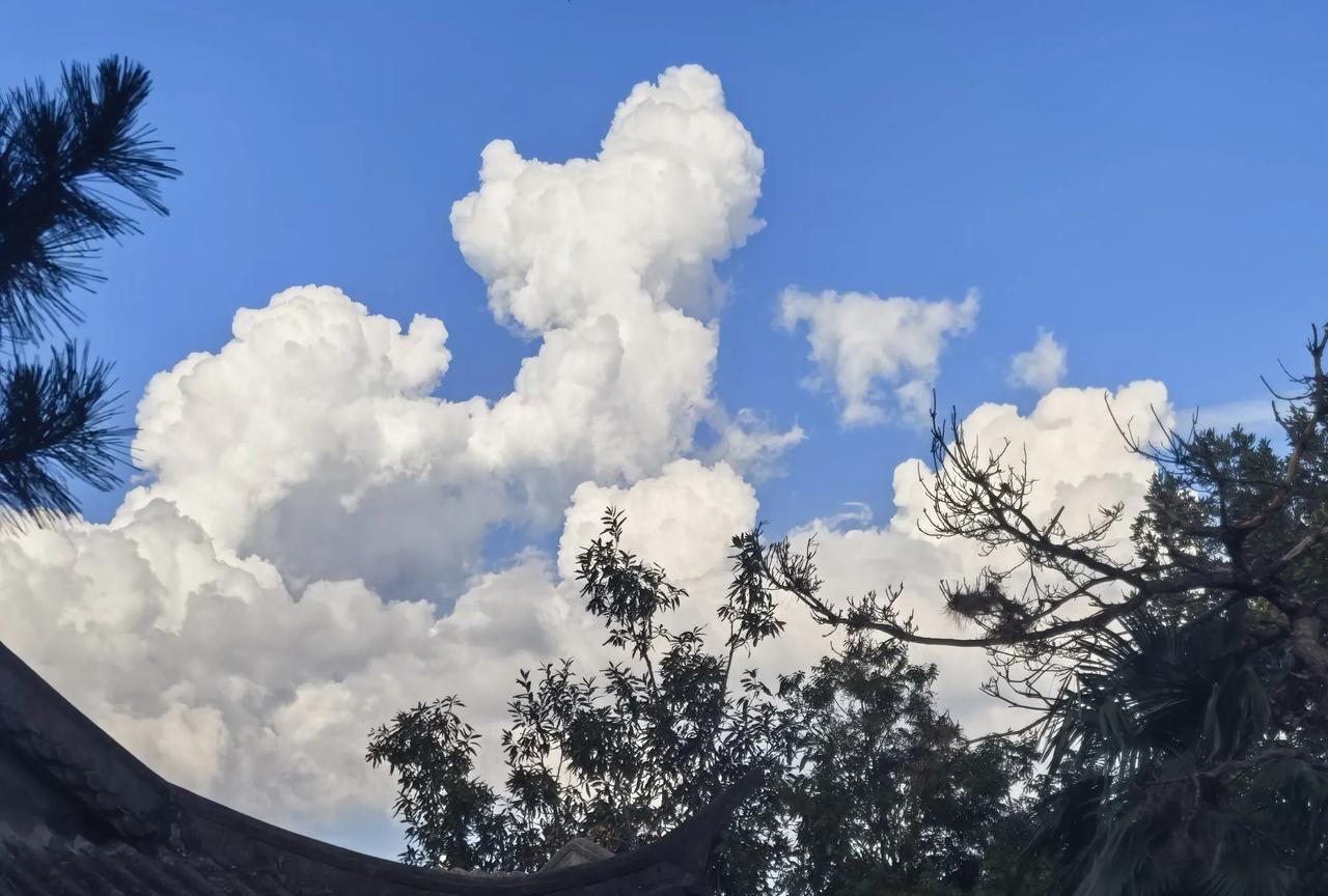 高温肆虐的暑假，河南人去哪里避暑最合适？
持续的高温让人直呼受不了，如此高温又与