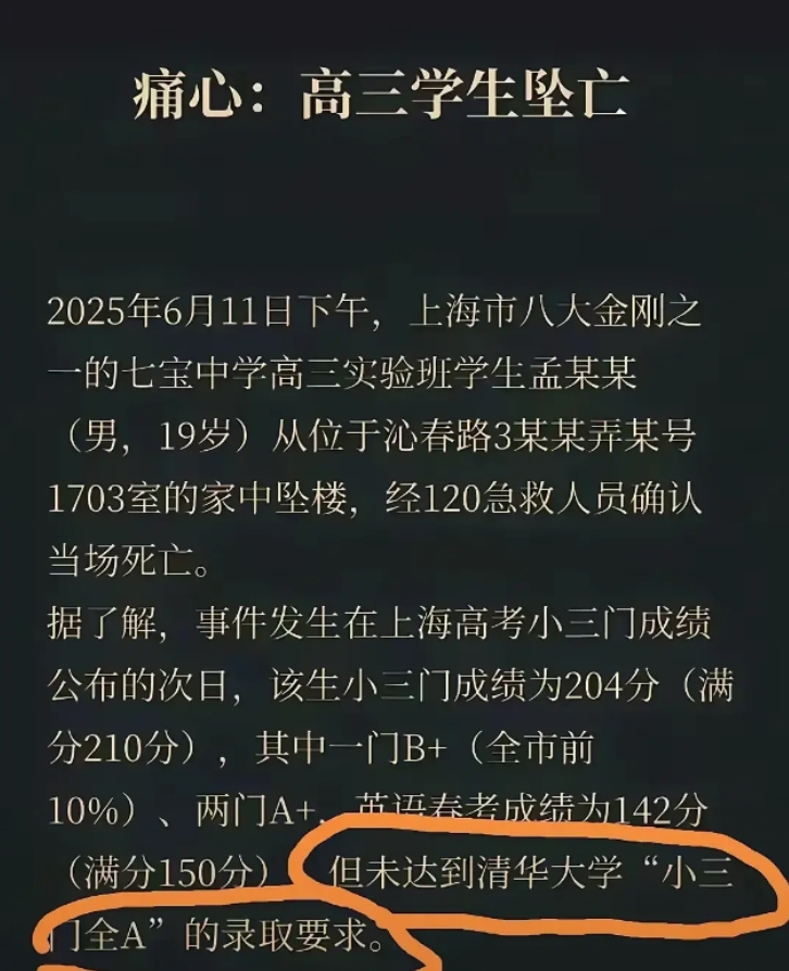 是社会病了，还是这个孩子病了？

6月11日下午，上海七宝中学高三某实验班学生孟