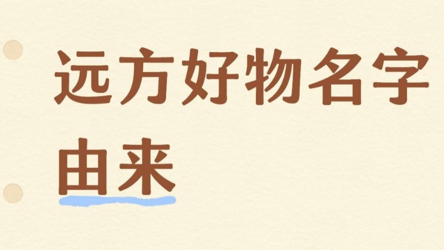 解读远方好物名字，一种“探寻与确证”的商业哲学
