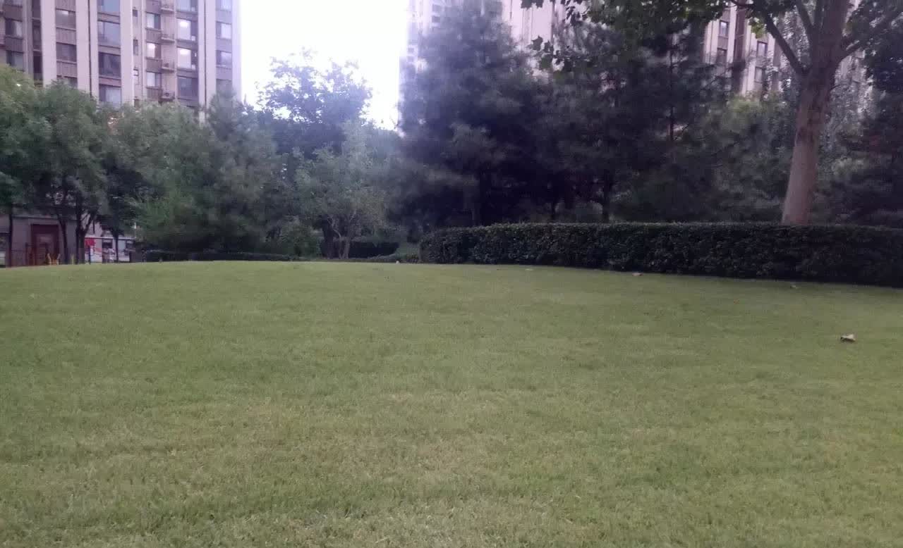“素质真高！在家肯定也是个干净利落人！”
中午买饭，见店内一男子吃完灌饼后，俯