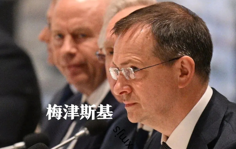 俄罗斯确实太会了——这次派去伊斯坦布尔和谈的代表团，一把手是梅津斯基，土生土长乌