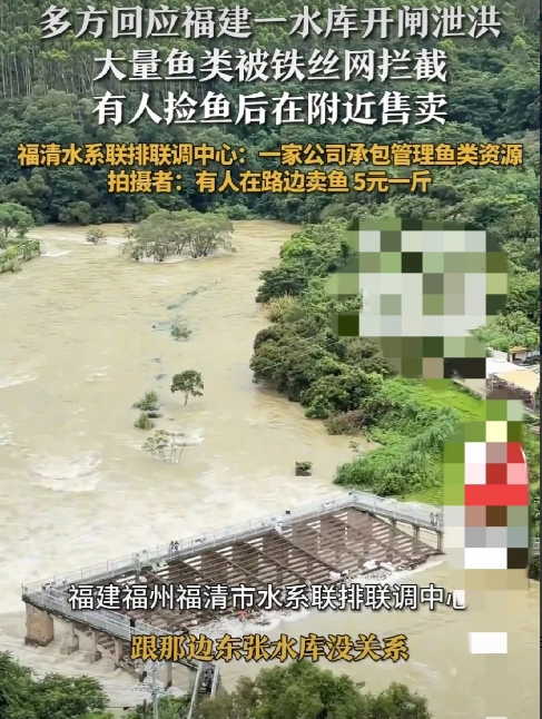 #水库泄洪大量鱼类被铁丝网拦截#
铁网鱼恨
鱼儿本来水中飘，
修行净化两不扰。