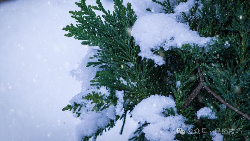 大寒不单要补，更要“通”！脾胃不好的人，一碗粥里加这3样，开春身子更轻快