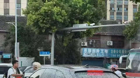 奥迪A7L旅行版国产实锤？轴距加长，旅行车迷的春天要来了！