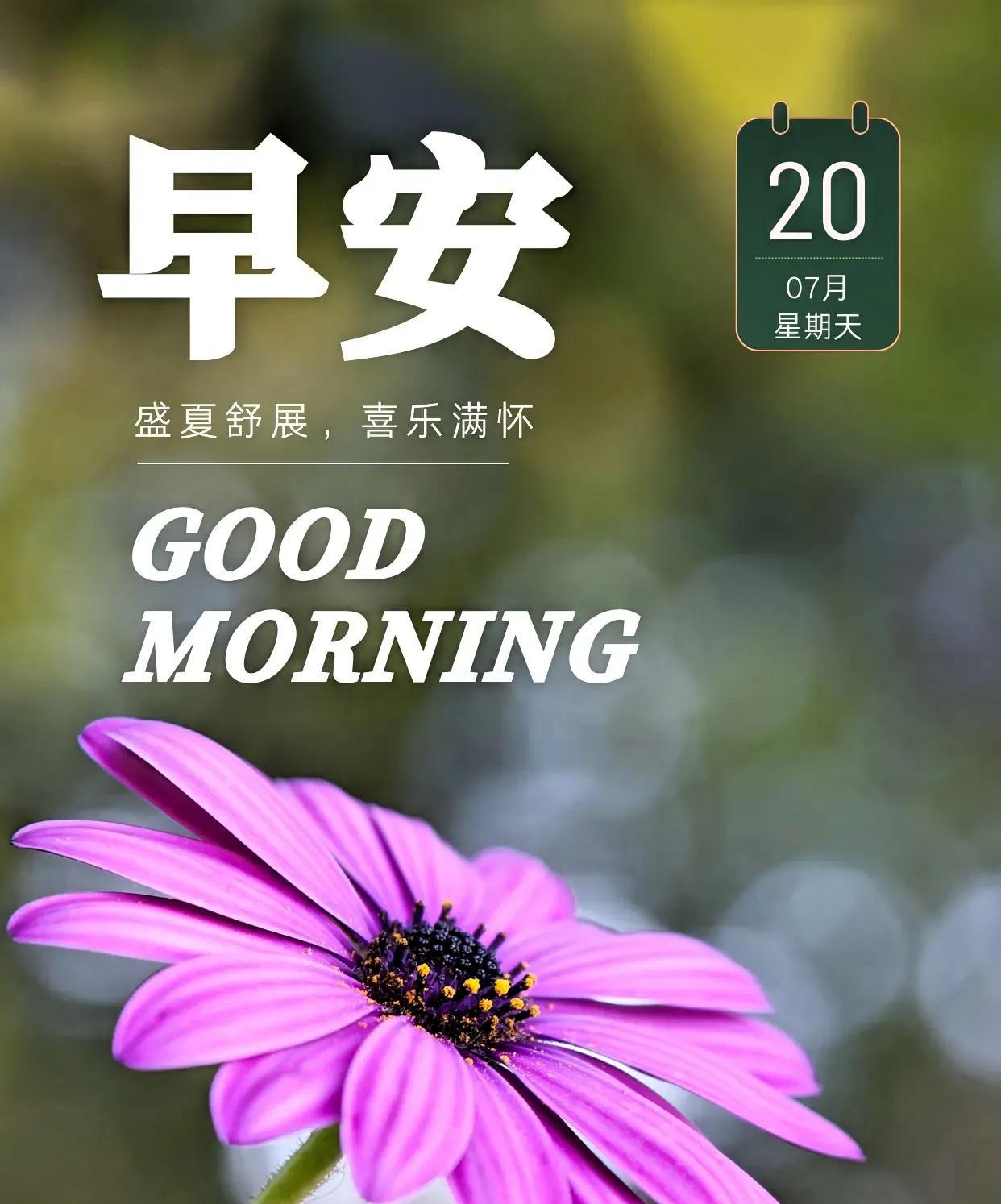 夏风轻拂，时光绚烂，拾一片荫凉，走过盛夏的炽热。让日子如荷般在心底舒展，带着热忱