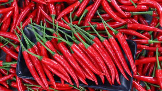 辣椒采摘管理