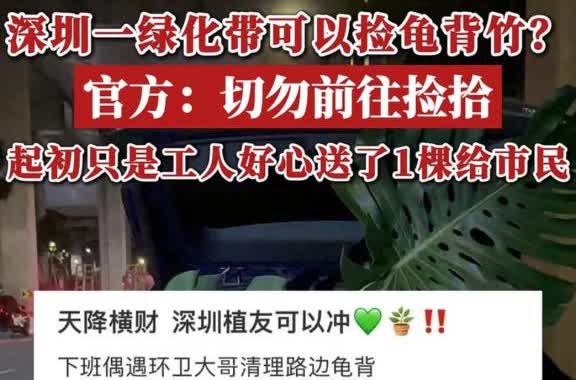 深圳，一男子下班回家发现绿化带有工作人员在清理龟背竹，上前询问能否送自己一棵，工