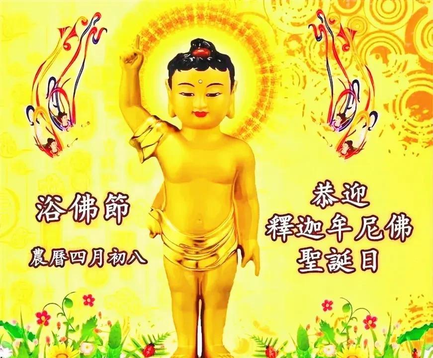 浴佛节，又称佛诞节，是佛教纪念 释迦牟尼佛诞生的重要节日，在每年农历四月初八。据