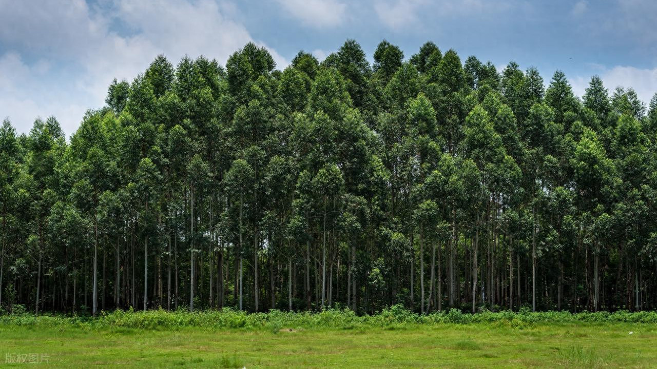 FSC认证木浆纤维棉纸袋圆角三边封环保包装防刮防油可回收可降解