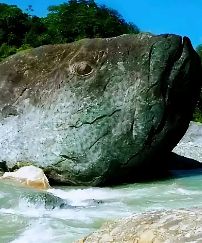你第一眼看到了什么？
测测你晚年能有多幸福？
A：石头
B：鱼头
C：人脸...