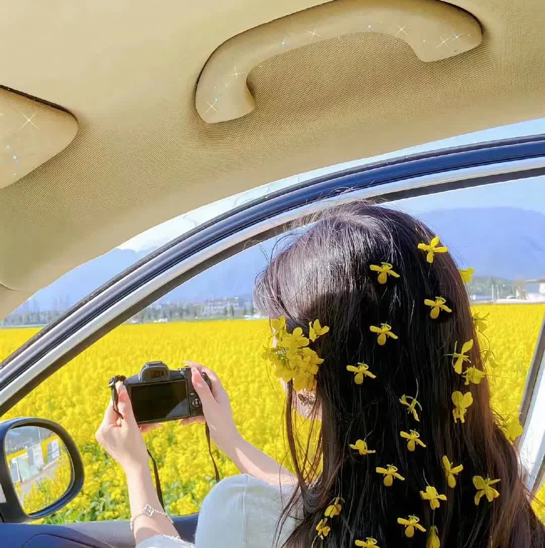 尘埃落定，折磨得我死去活来的驾照终于考完了。[烟花][烟花][烟花][烟花]
