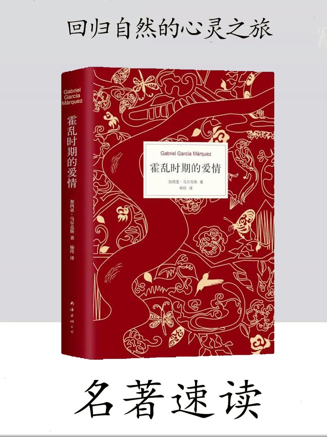 《霍乱时期的爱情》：品读经典感悟人生，奋进之心永不磨灭！