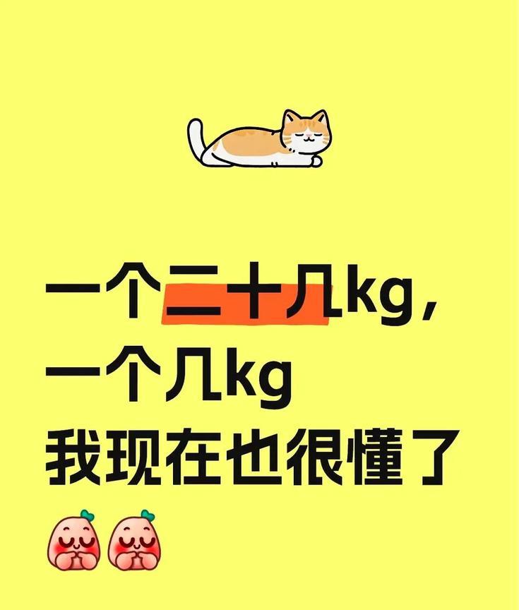 一个二十几公斤，一个几公斤，不得说我现在也很懂了。
机场称重台前又排起长队，那个