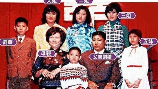明星兄妹颜值天差地别，刘德华姐姐被嘲成“洪金宝”