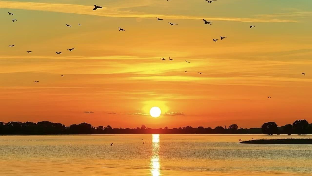 质粒提取实验常见问题分析与优化指南