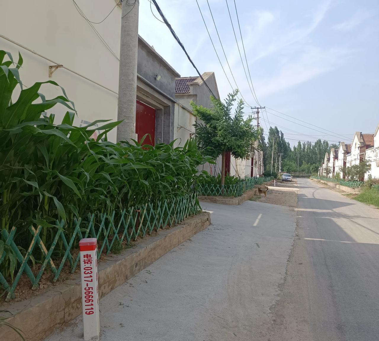 我的理想生活，
就是一家人在一起，开着皮实的坦克500，游历江湖，走到哪算哪，看