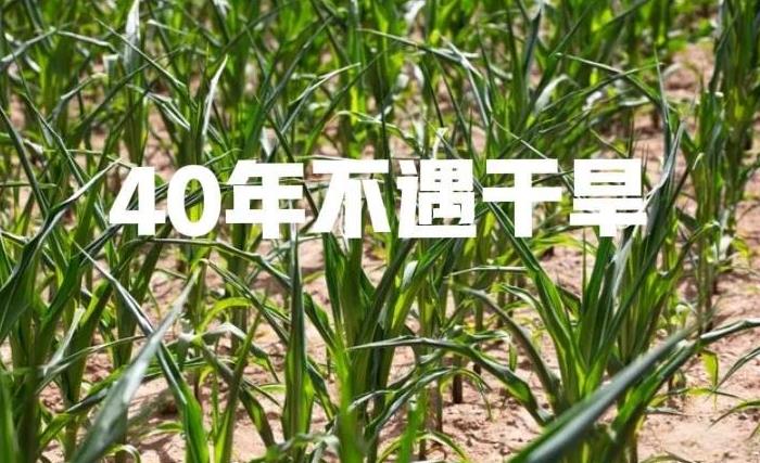 40年不遇干旱出现了，今年还要热多久？早看早防备
相信大家已经知道了我国有些地区