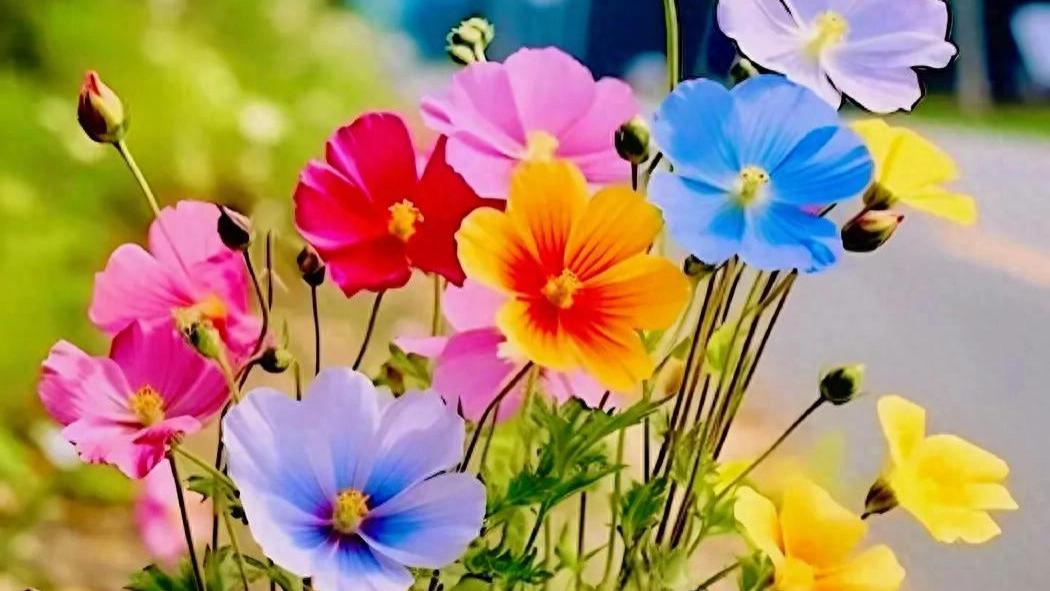 累了歇一歇，烦了静一静，急了缓一缓，把握好生活节奏