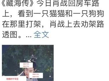 哈哈哈，原来肖战劝架是周奇的猫和张婧仪的狗啊！兔子给猫狗劝架，真的会萌晕！
坚