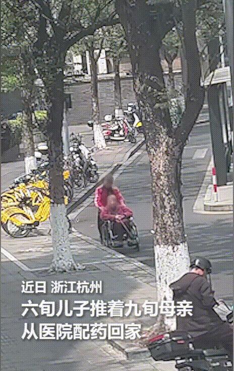 [兔子]“火到人民日报了！”浙江杭州，六旬儿子推着九旬母亲从医院回家途中，突然感