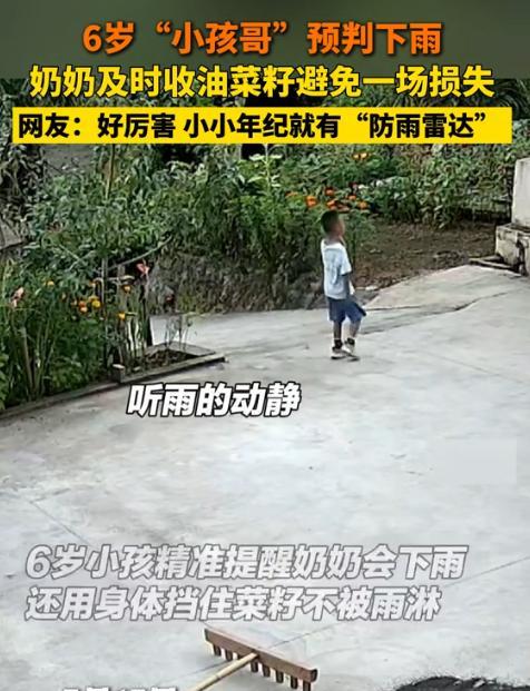 贵州，一个6岁小男孩在自家院子里溜达，突然他对奶奶说马上要下雨了，奶奶说大晴天的