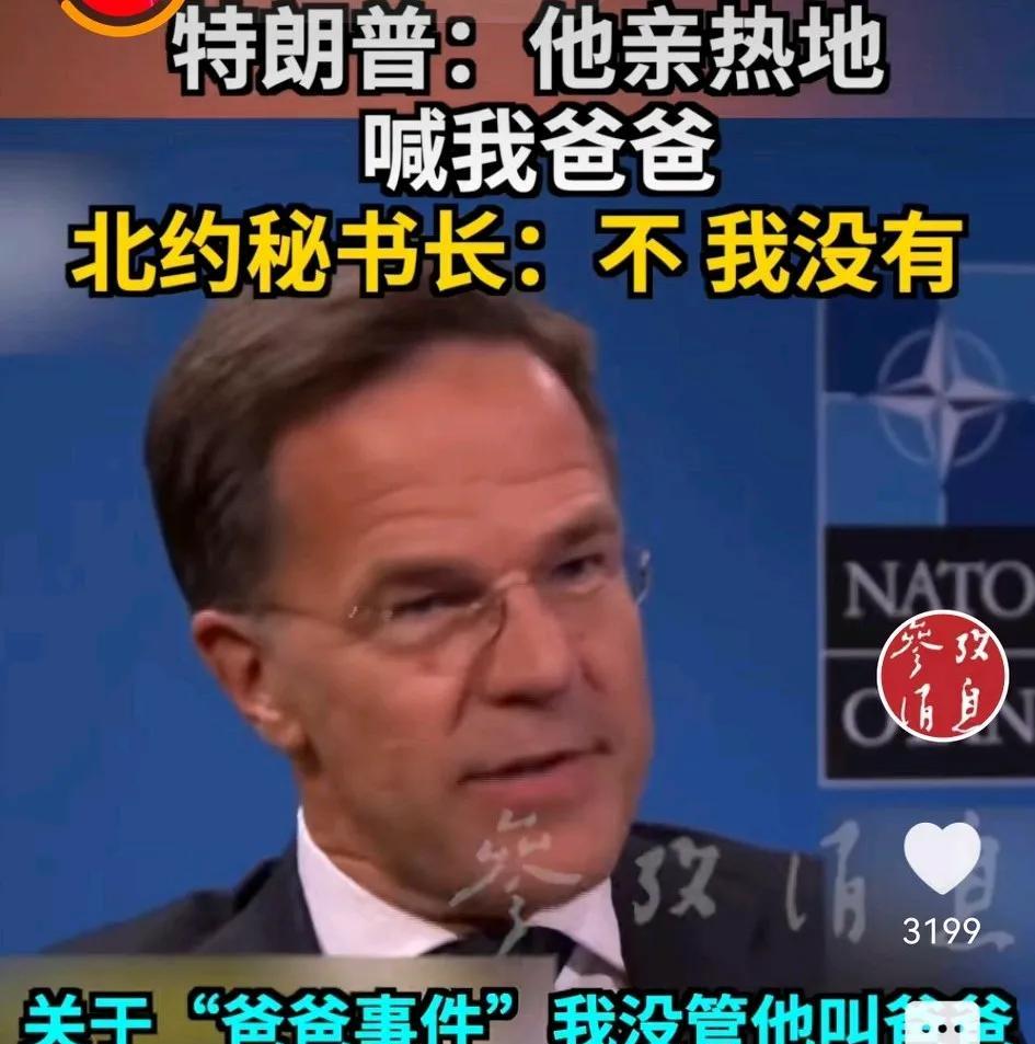 不管有没有叫爸爸，“美国就是北约的爸爸”？6月26日，德国《南德意志报》网站消息