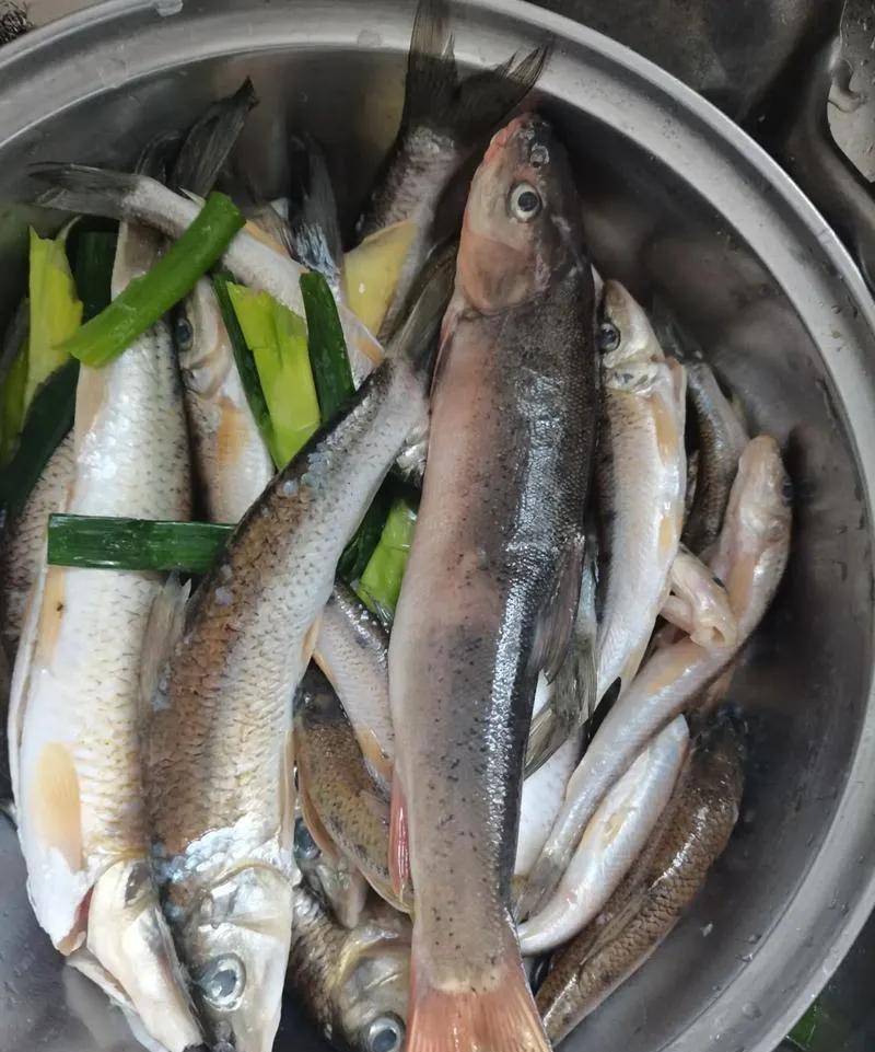 四川省攀枝花市十大美食
一、攀枝花雅江鱼
二、羊耳鸡塔
三、箐河浑浆豆花
四、攀