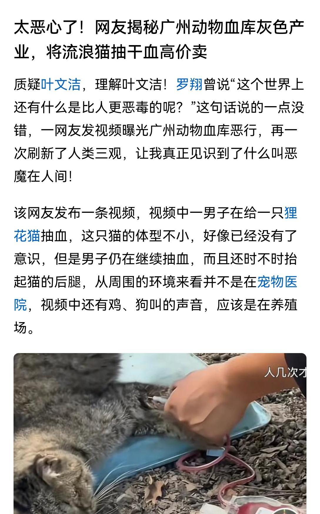 只有正常人想不到，没有坏人做不到。
“广东动物血库产业链”被网友曝光。一袋猫血，