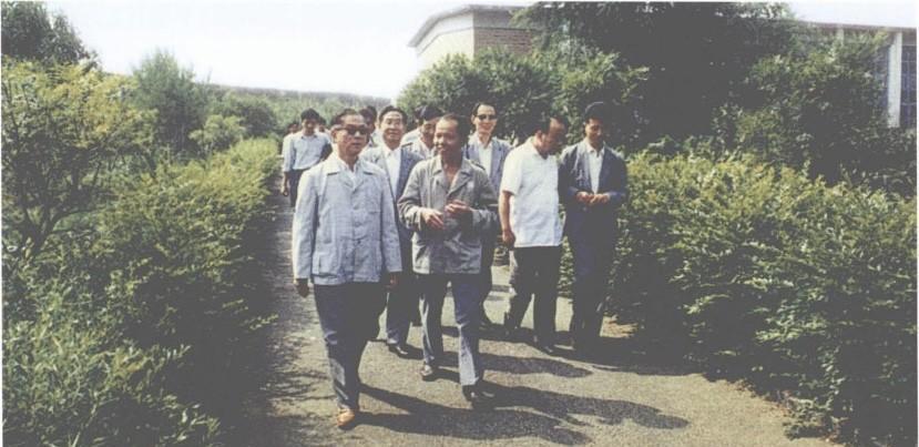 1984年8月17日，浙江省人民政府印发的《关于加快发展乡镇企业的若干规定》（以