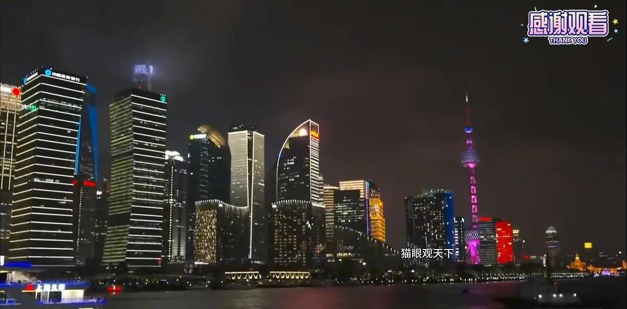 台湾青鸟说为了配合网红馆长的直播，全大陆停电，给馆长表演了黄埔江上的灯光秀。我去