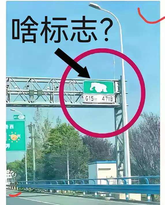 救命啊！跑高速看到这大象标志，直接给我整不会了！