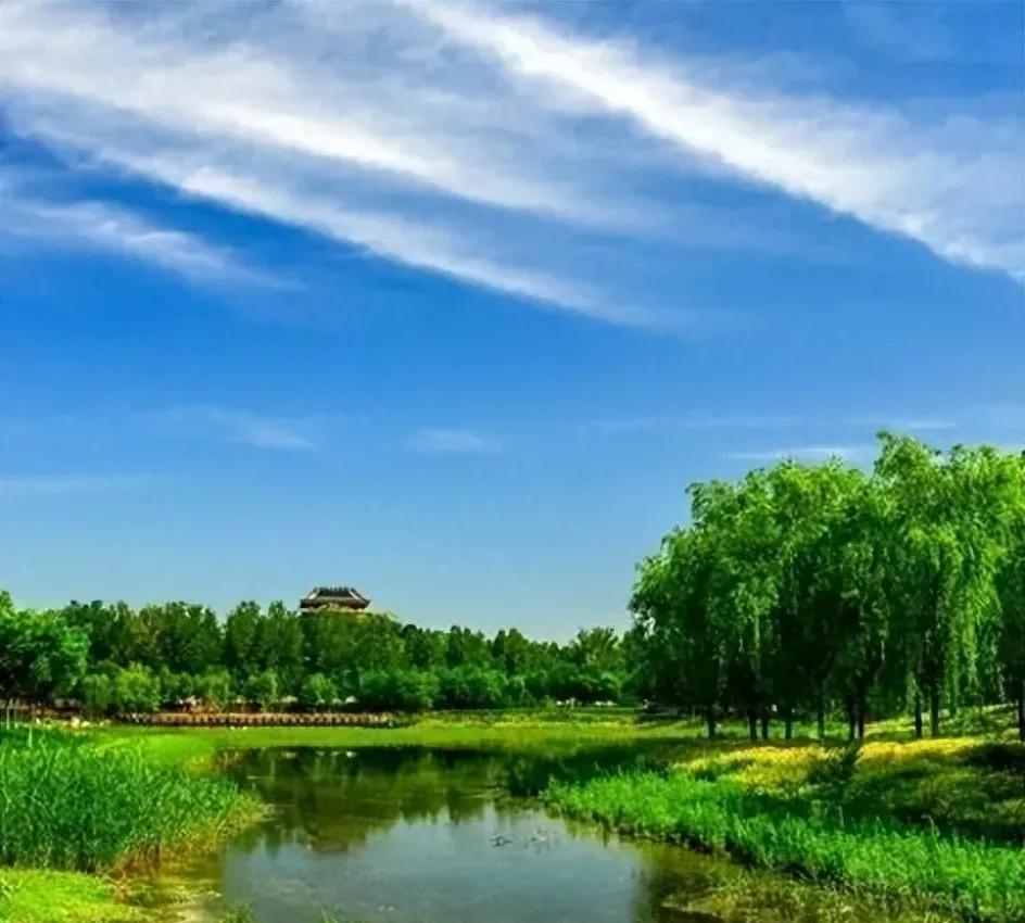 北京南苑森林湿地公园的夏天
又到周末，高考结束，带着身心疲惫的孩子，找一块清凉的