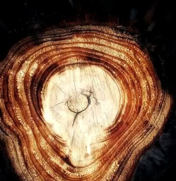 张碧晨为什么宁愿和汪苏泷“断情”也要公布唯一原创

因为旺仔小乔开演唱会要商