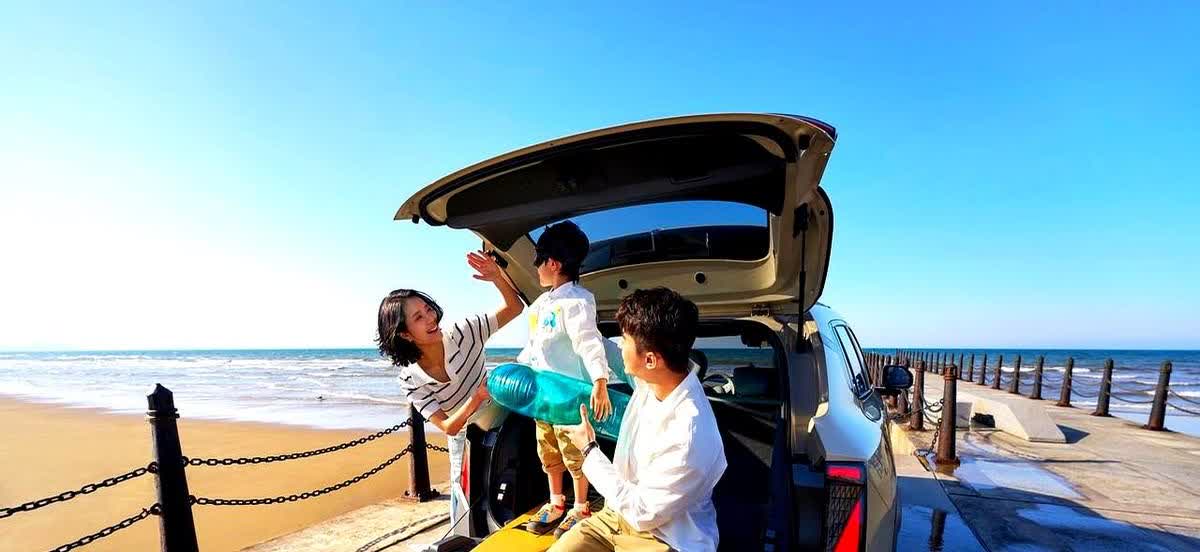 新能源车企六年后可能只剩7家：哪7家：

1、比亚迪：留下，国内第一，销量和