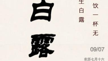 苍苍生白露 欲饮一杯无