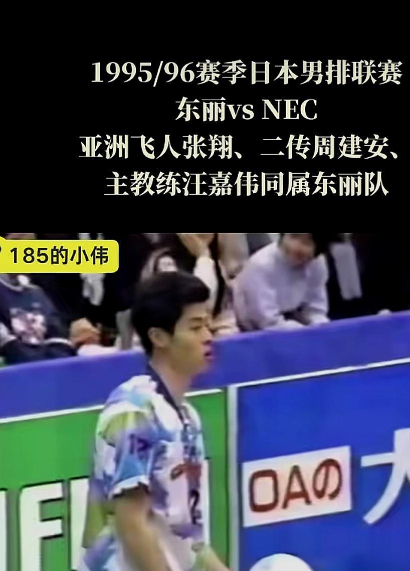 幸运地刷到了中国前男排国手张翔、周建安在日本一起打球的视频，还有幸看到了汪嘉伟在