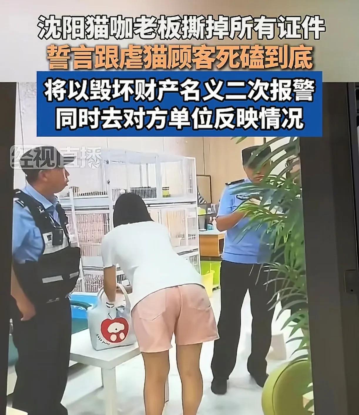 老板这份狠劲，看着让人心疼又揪心！
沈阳猫咖店虐猫事件，猫咖店老板为了和虐猫女子